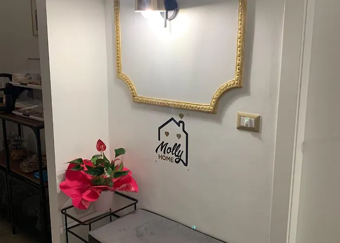 Molly Oda ve Kahvaltı 4*
